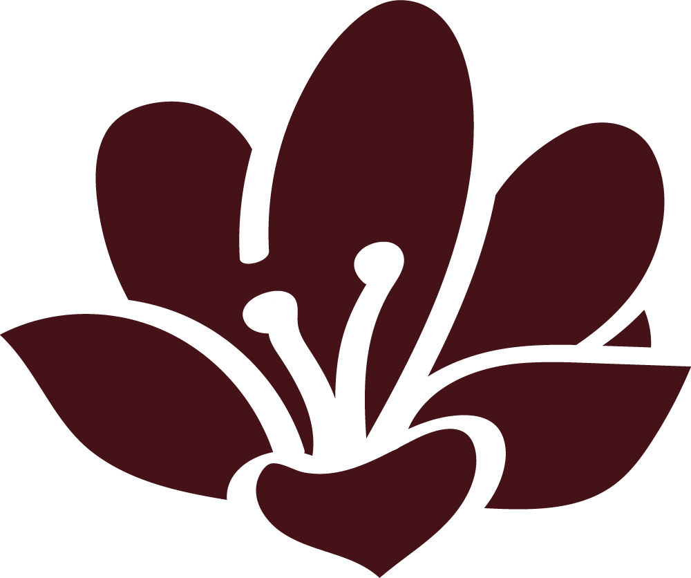 Cirurgias e implantes dentários